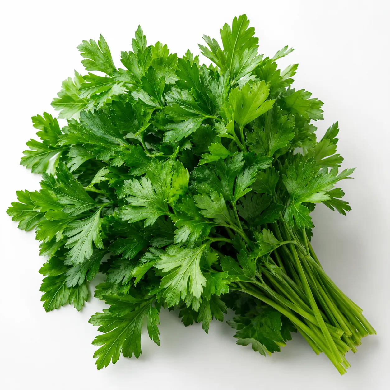 parsley