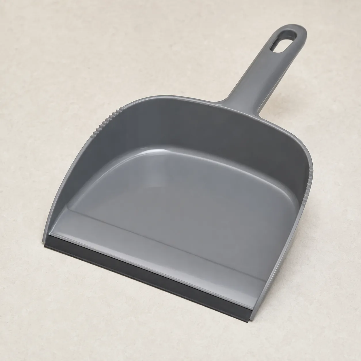 dustpan
