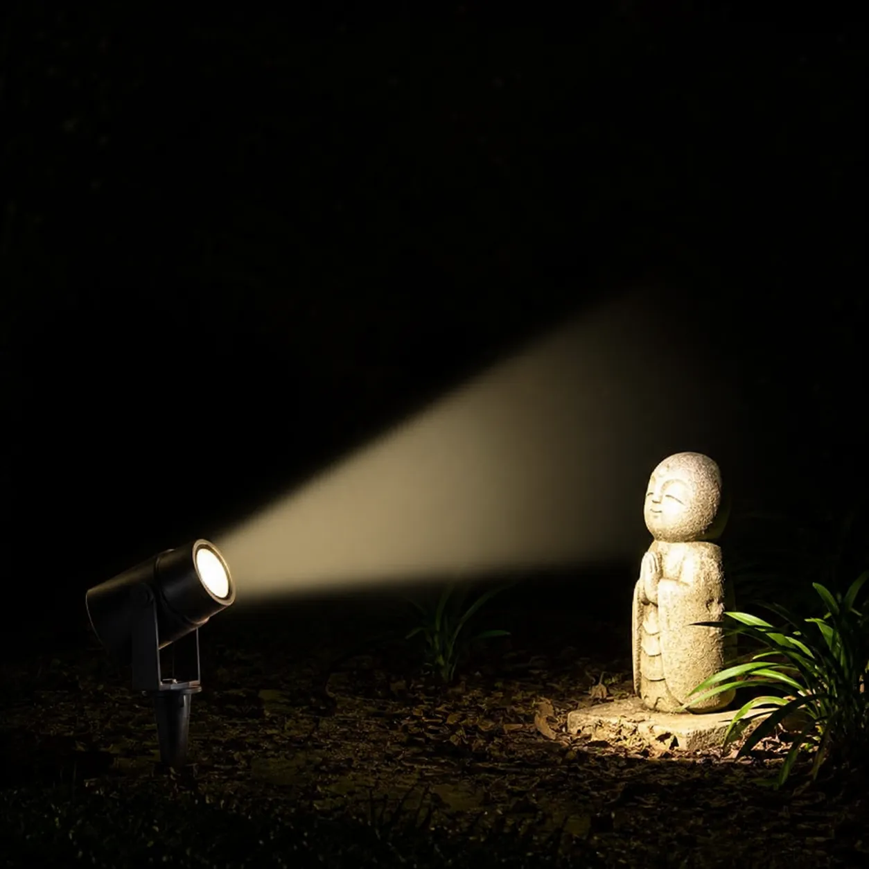 spotlight