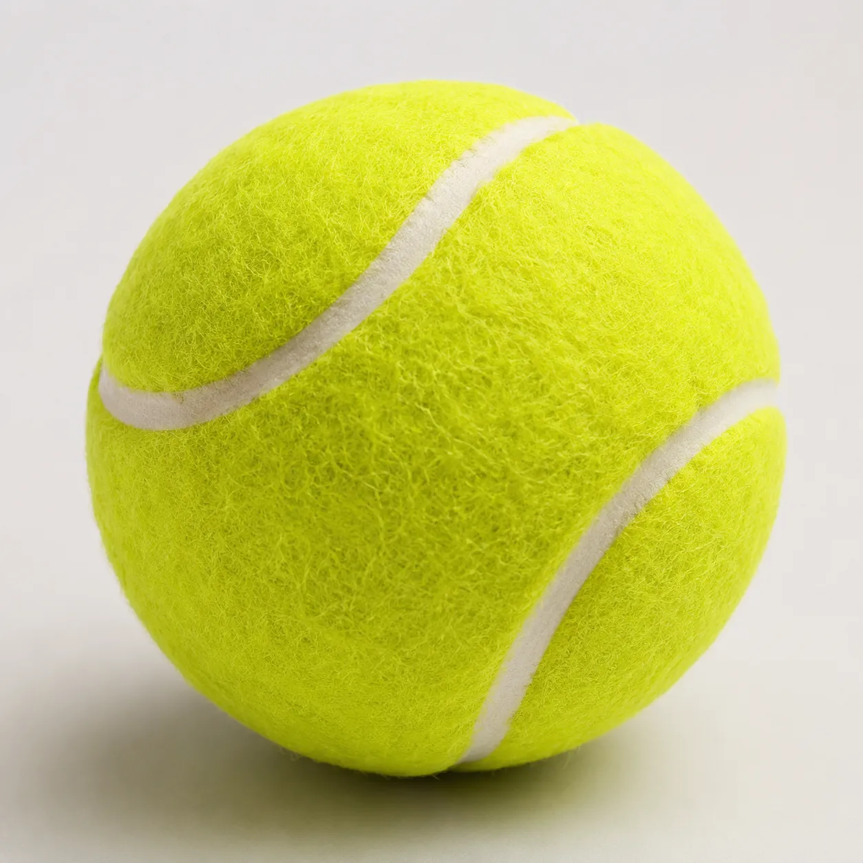 fetch toy