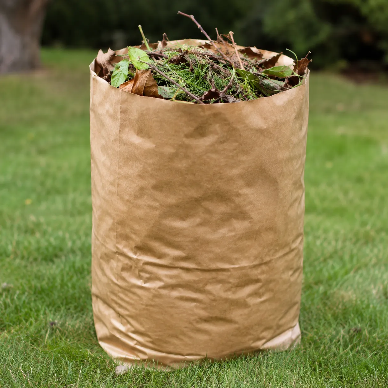 yard waste bag