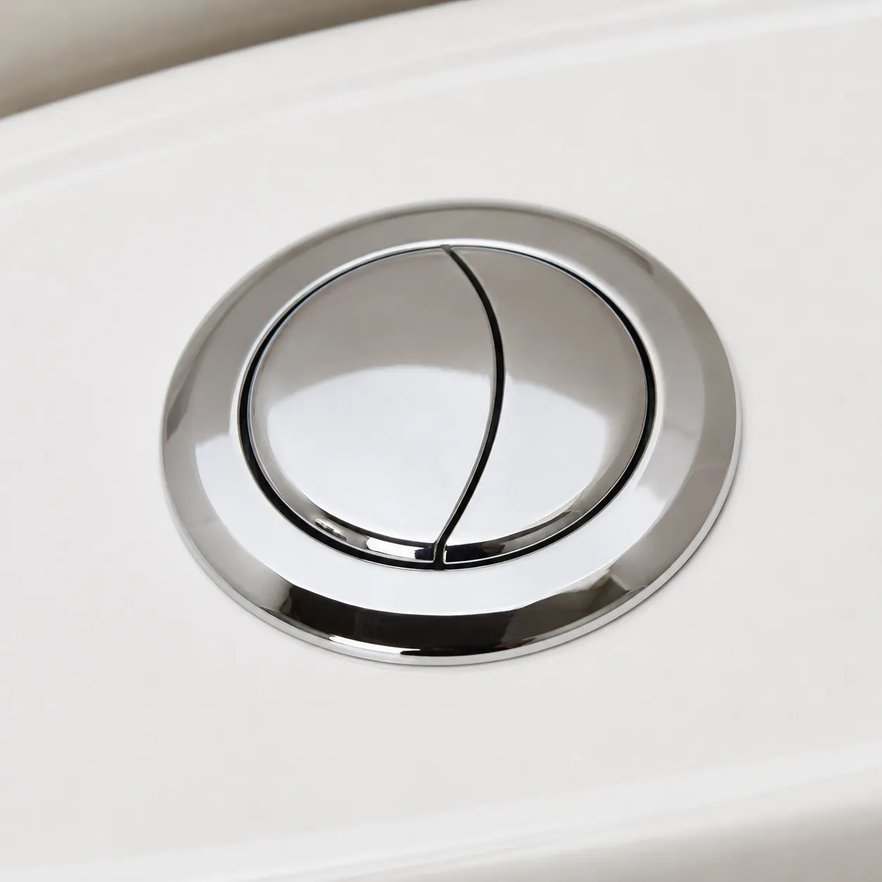 flush button