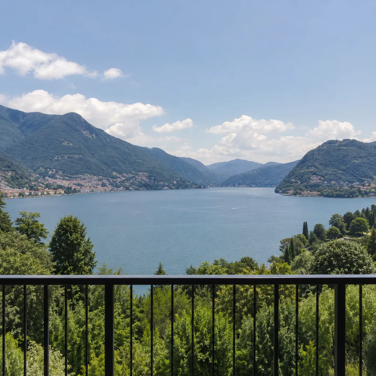 view