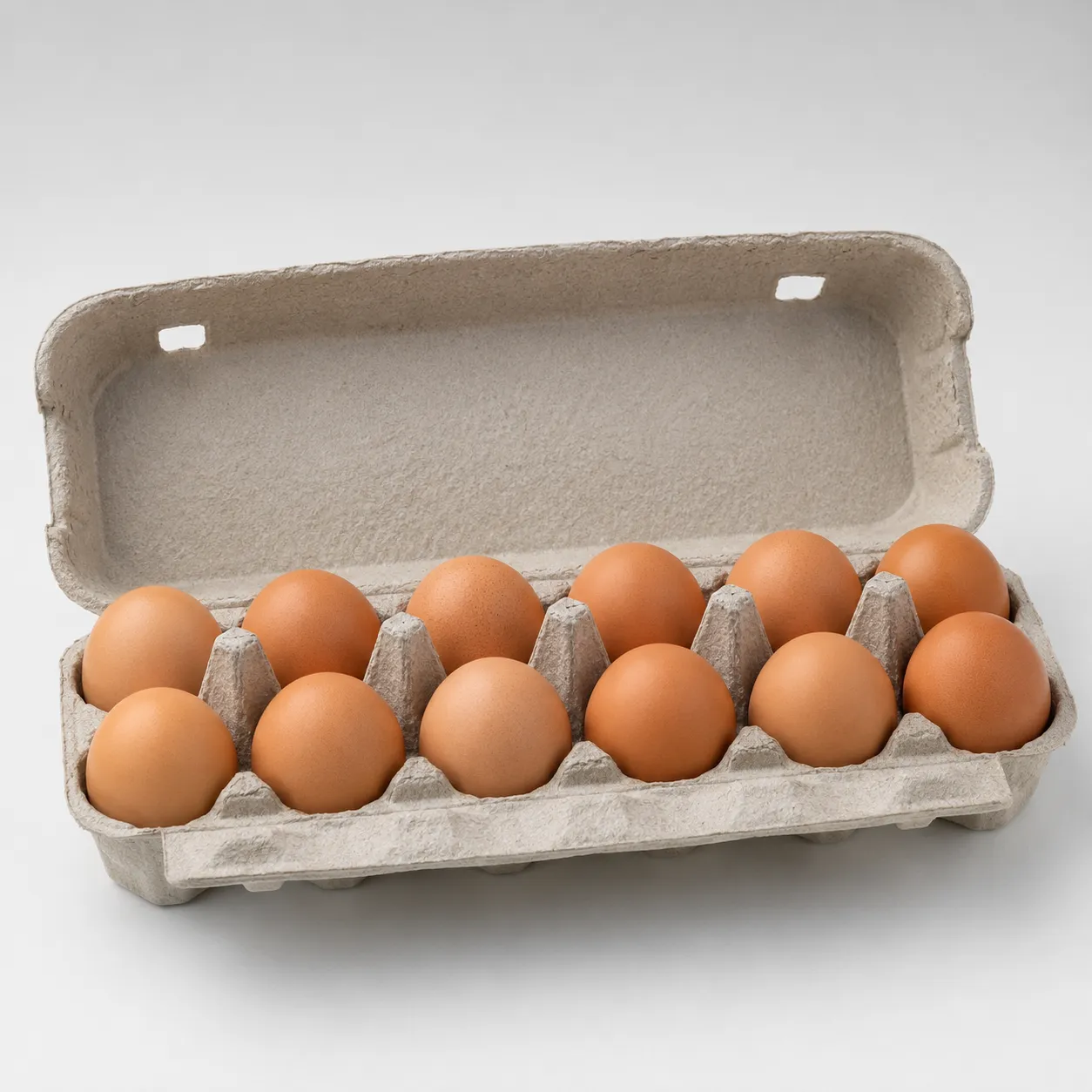 egg carton