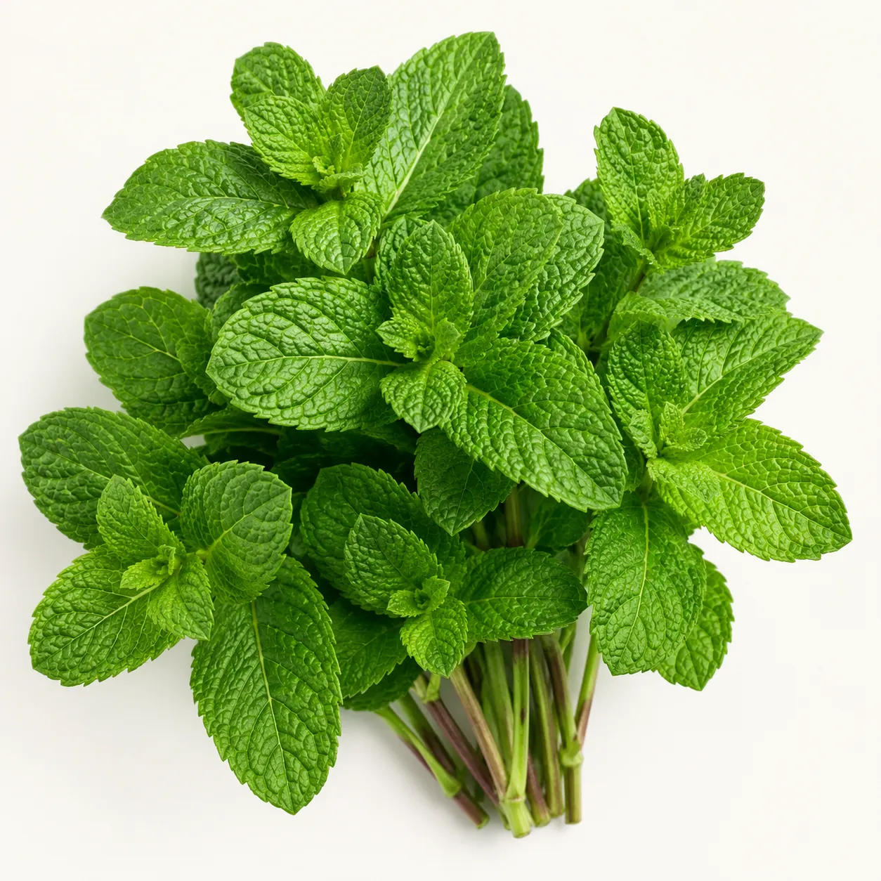mint