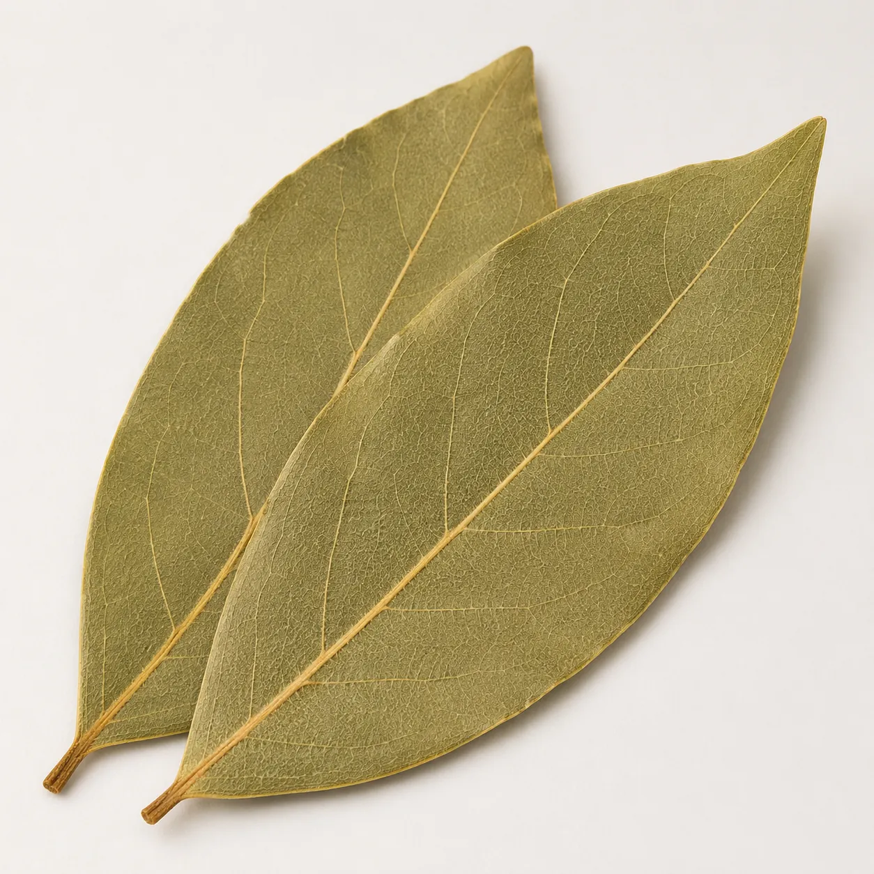 bay leaf