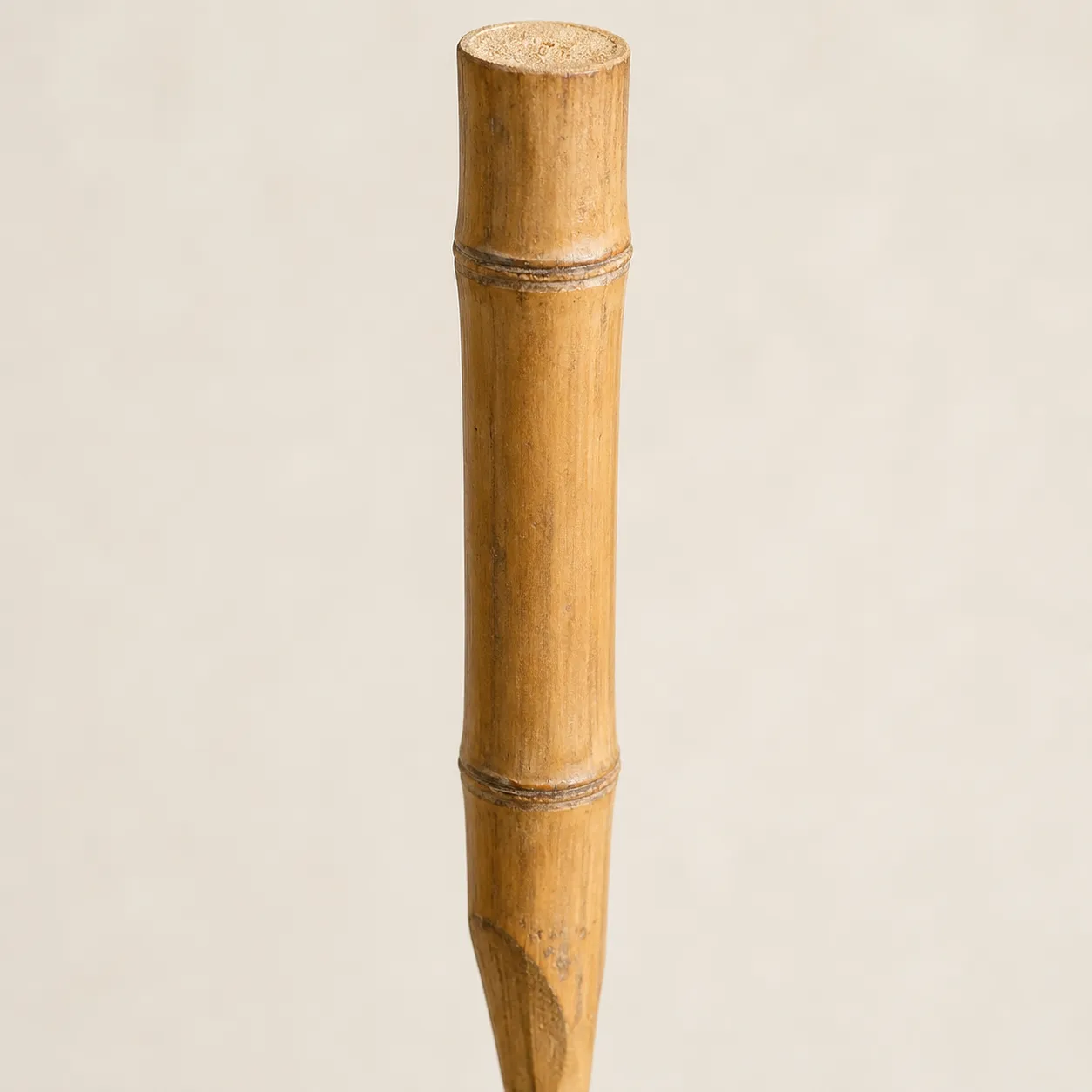 bamboo stake