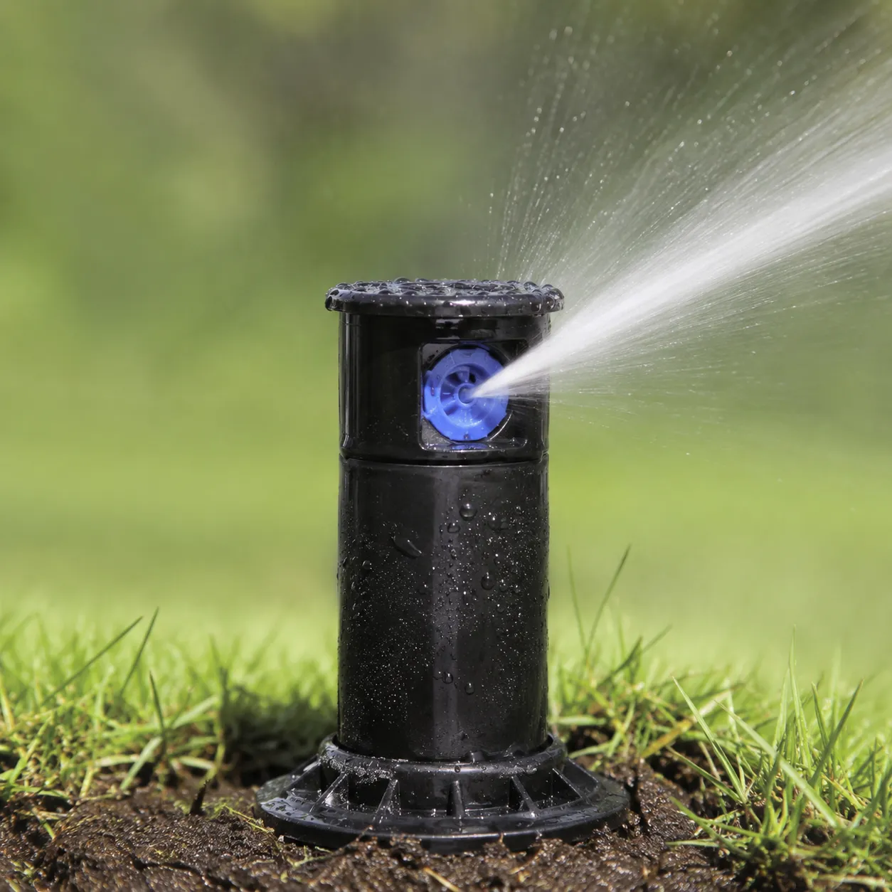 sprinkler head