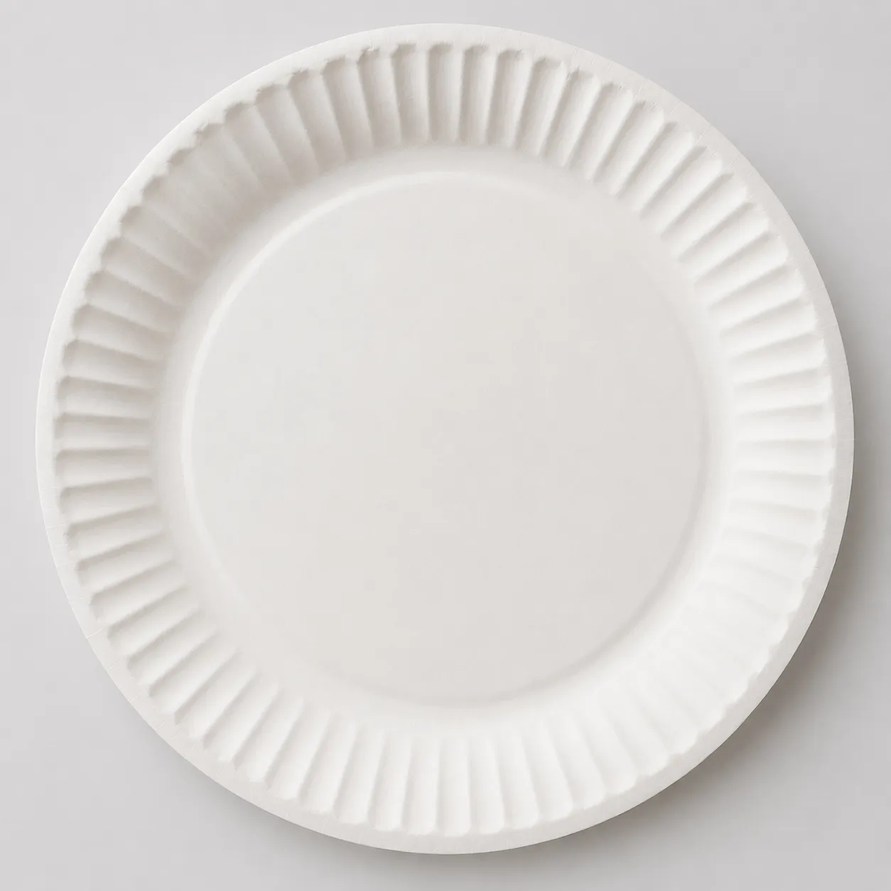 paper plate