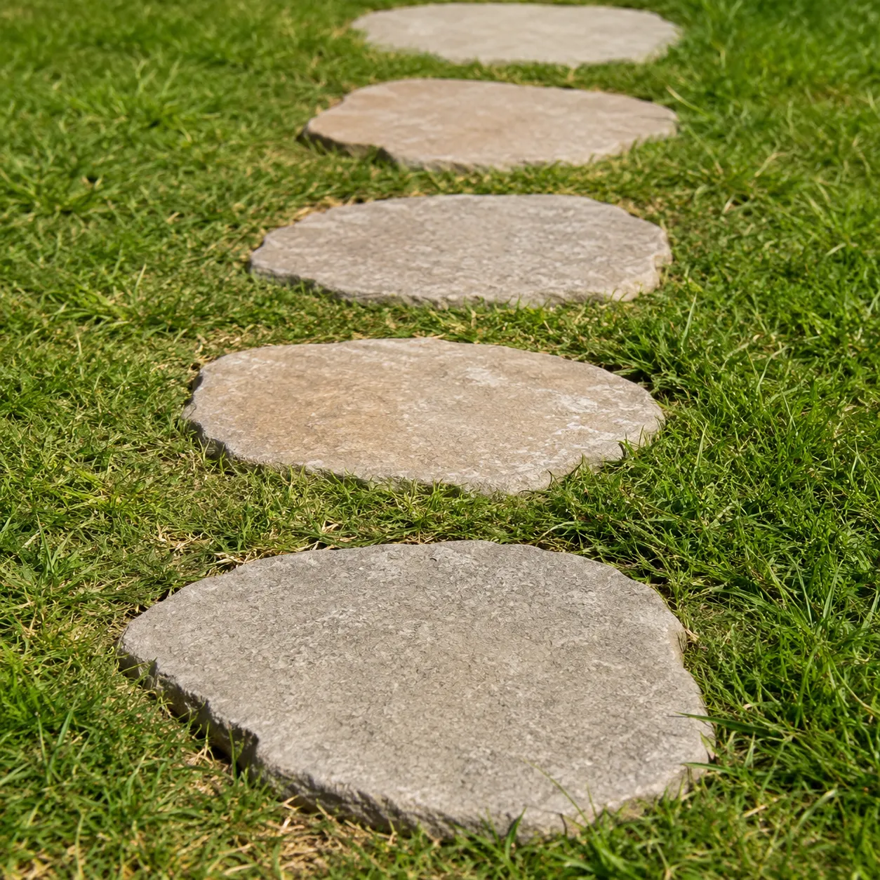 stepping path