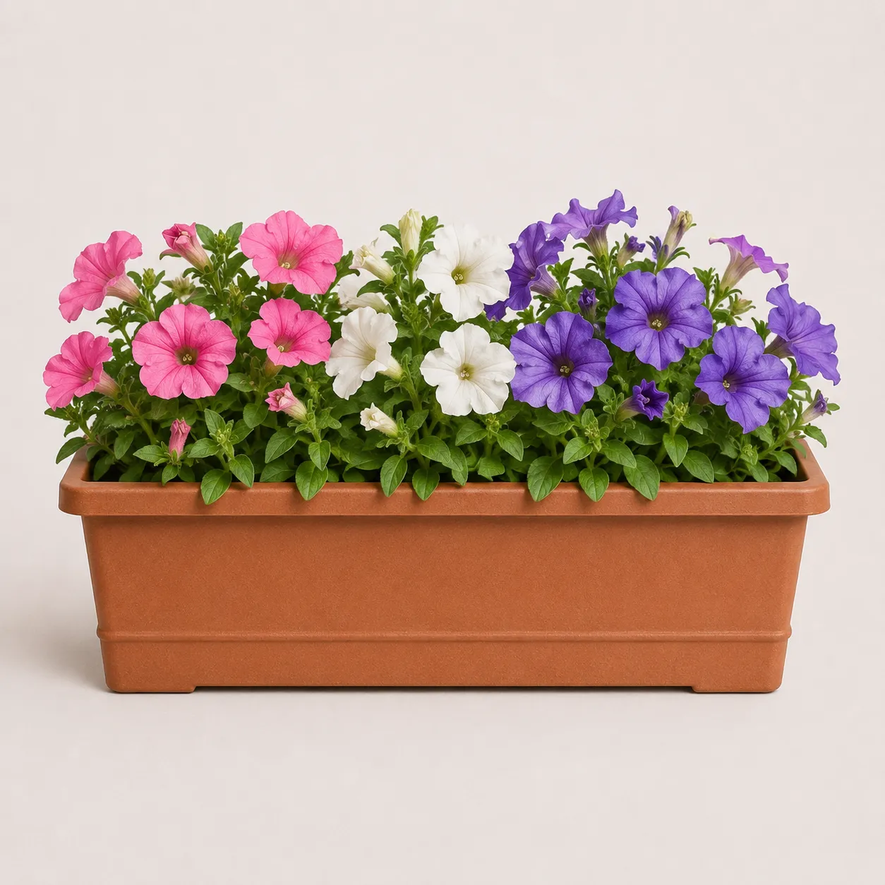 flower box