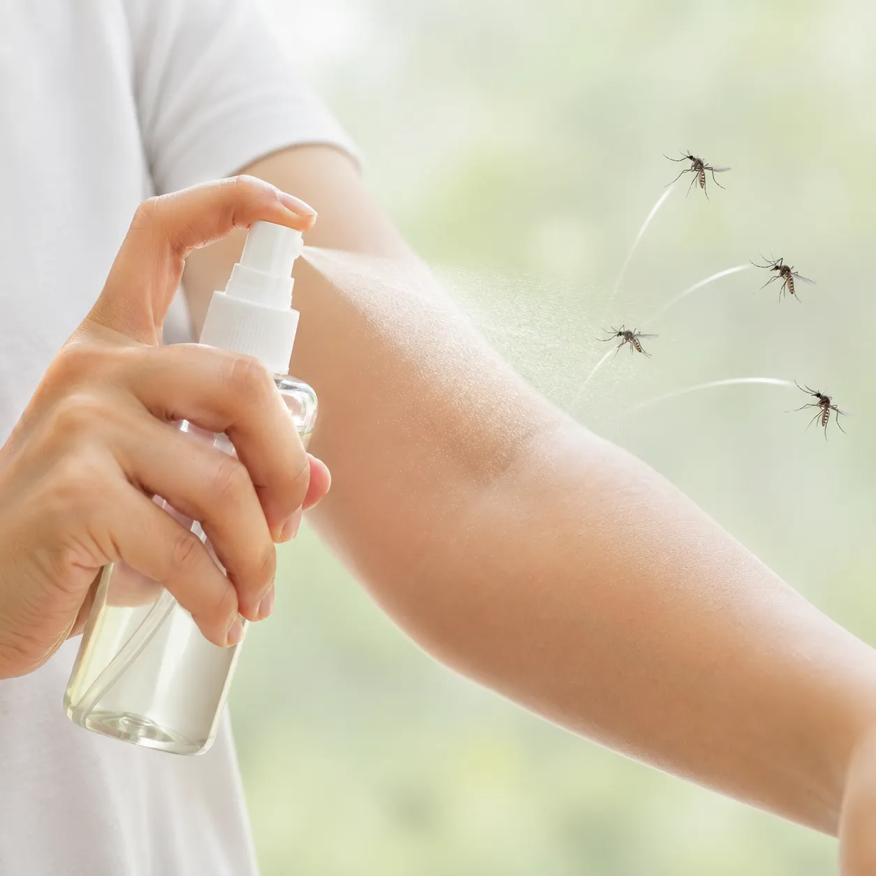 insect repellent