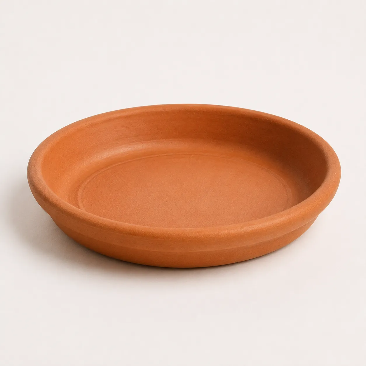 plant saucer
