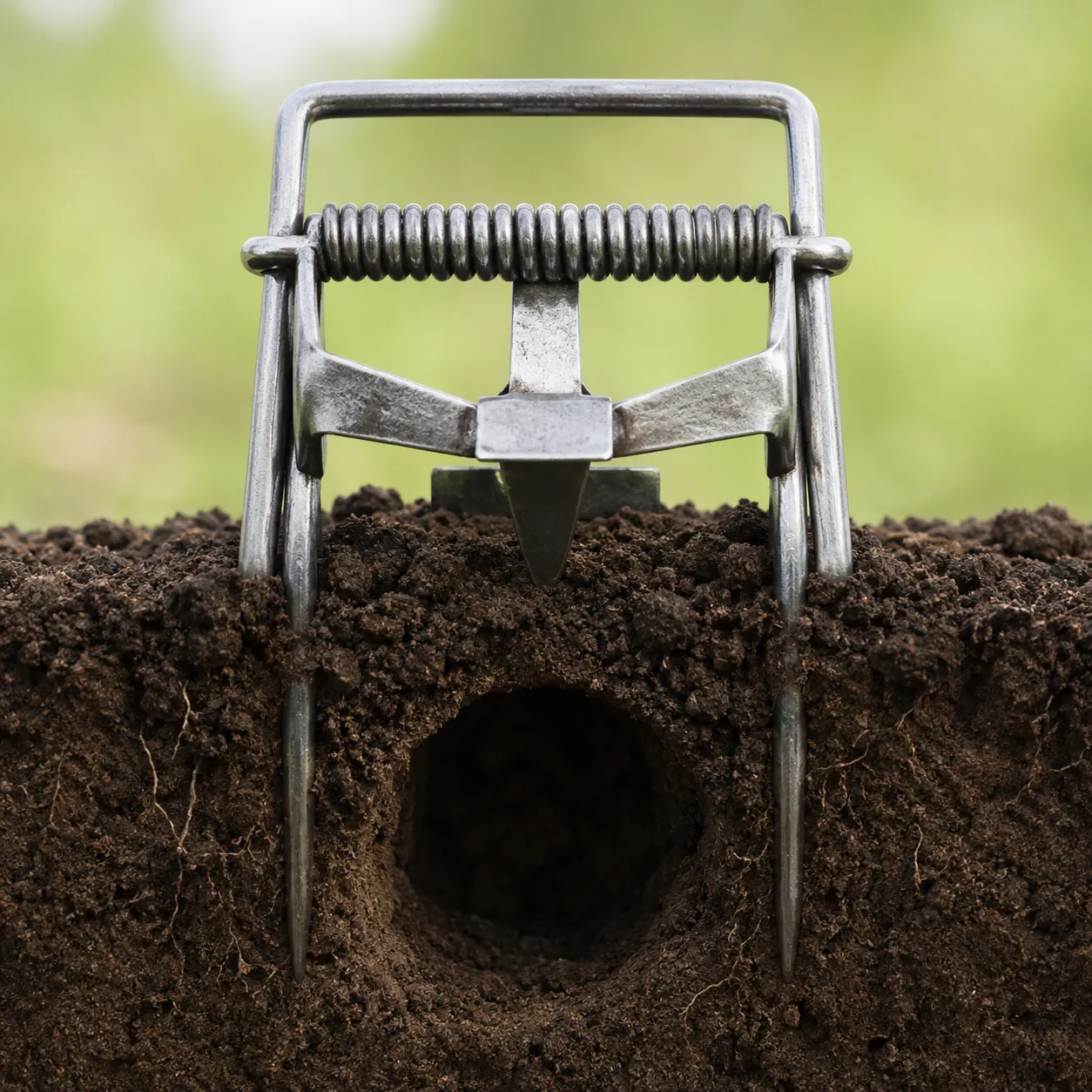 mole trap