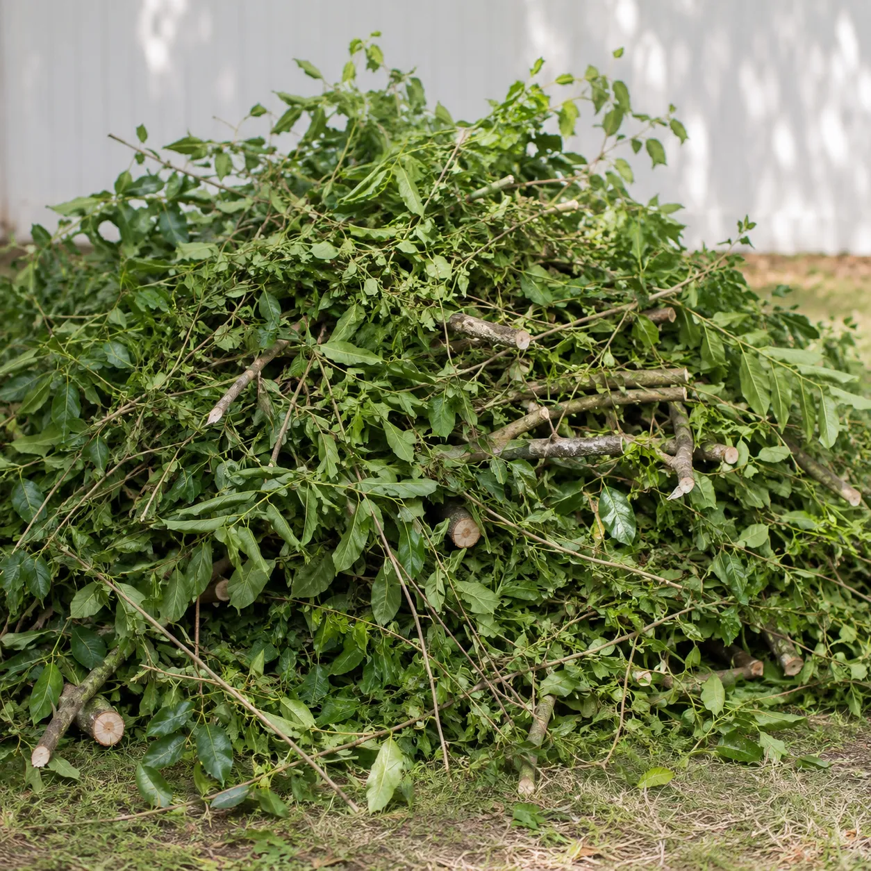 pruning pile