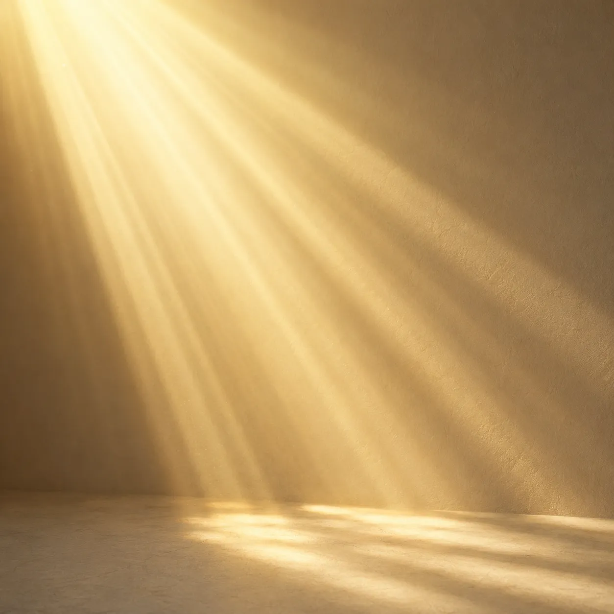 sunlight