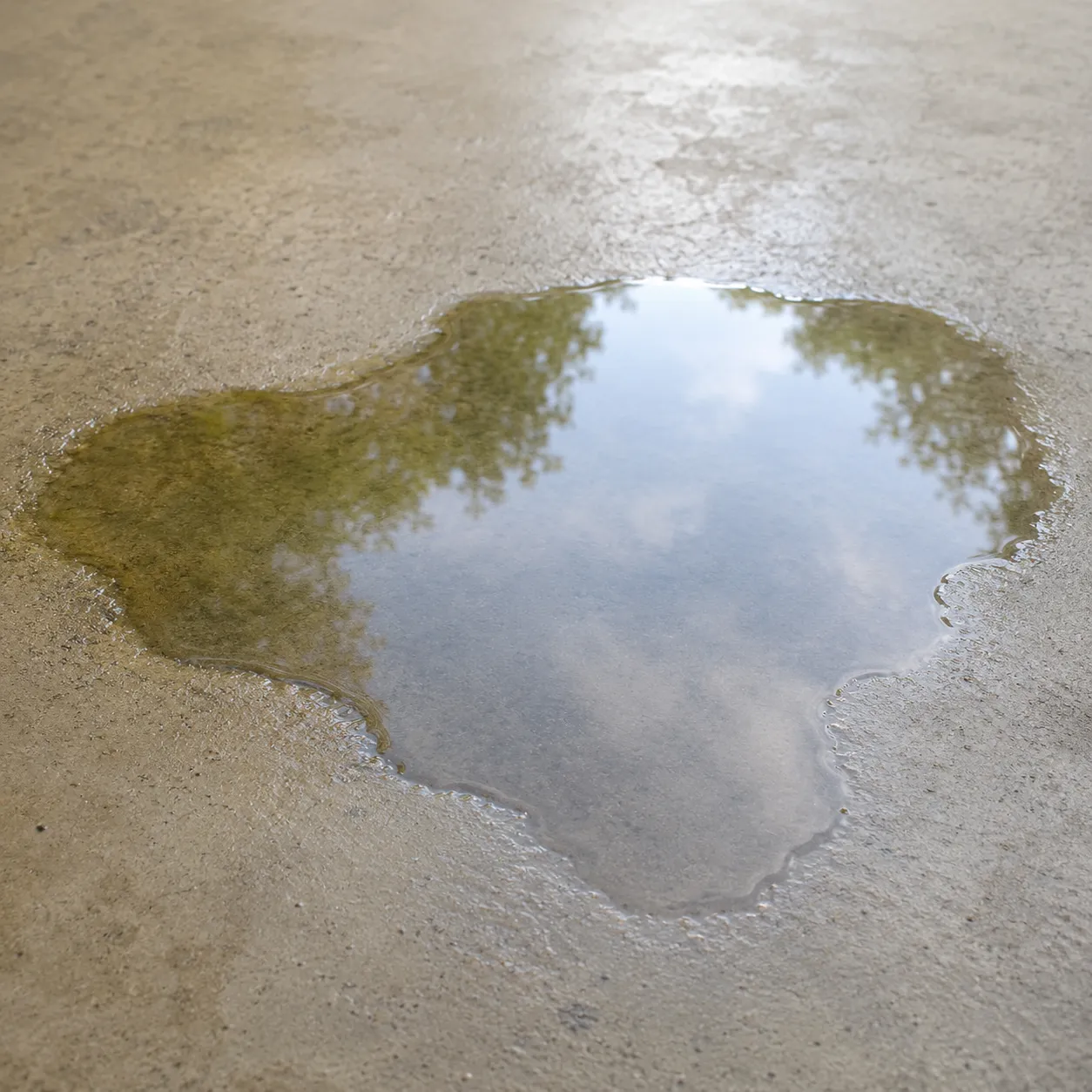 puddle