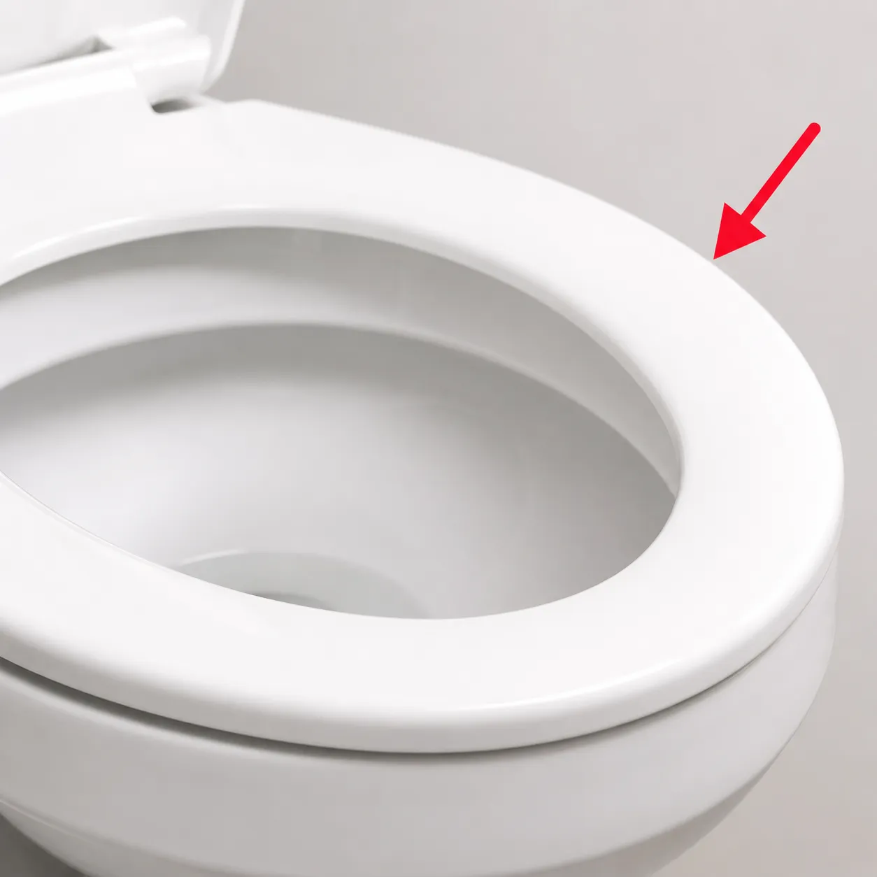 toilet rim