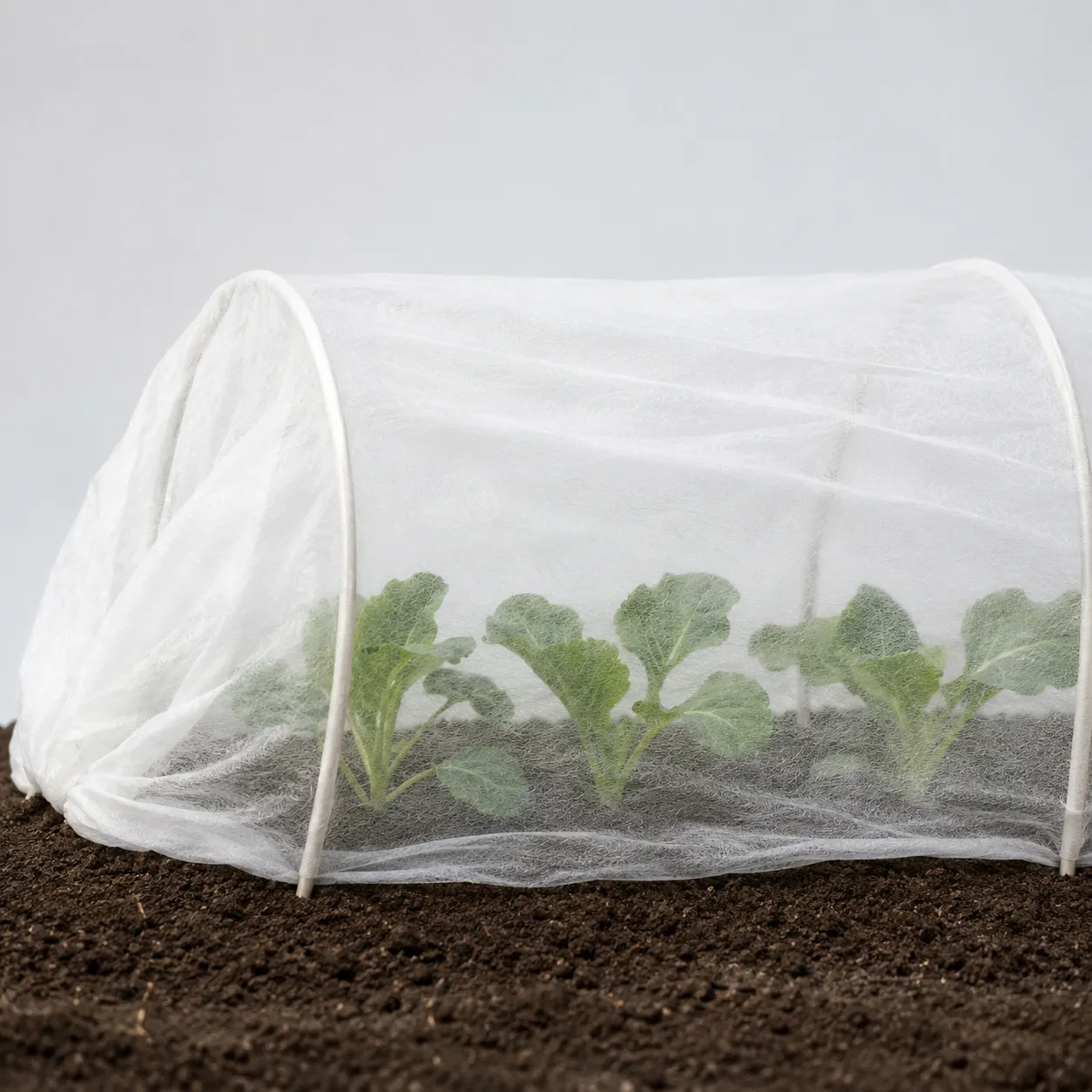 row cover