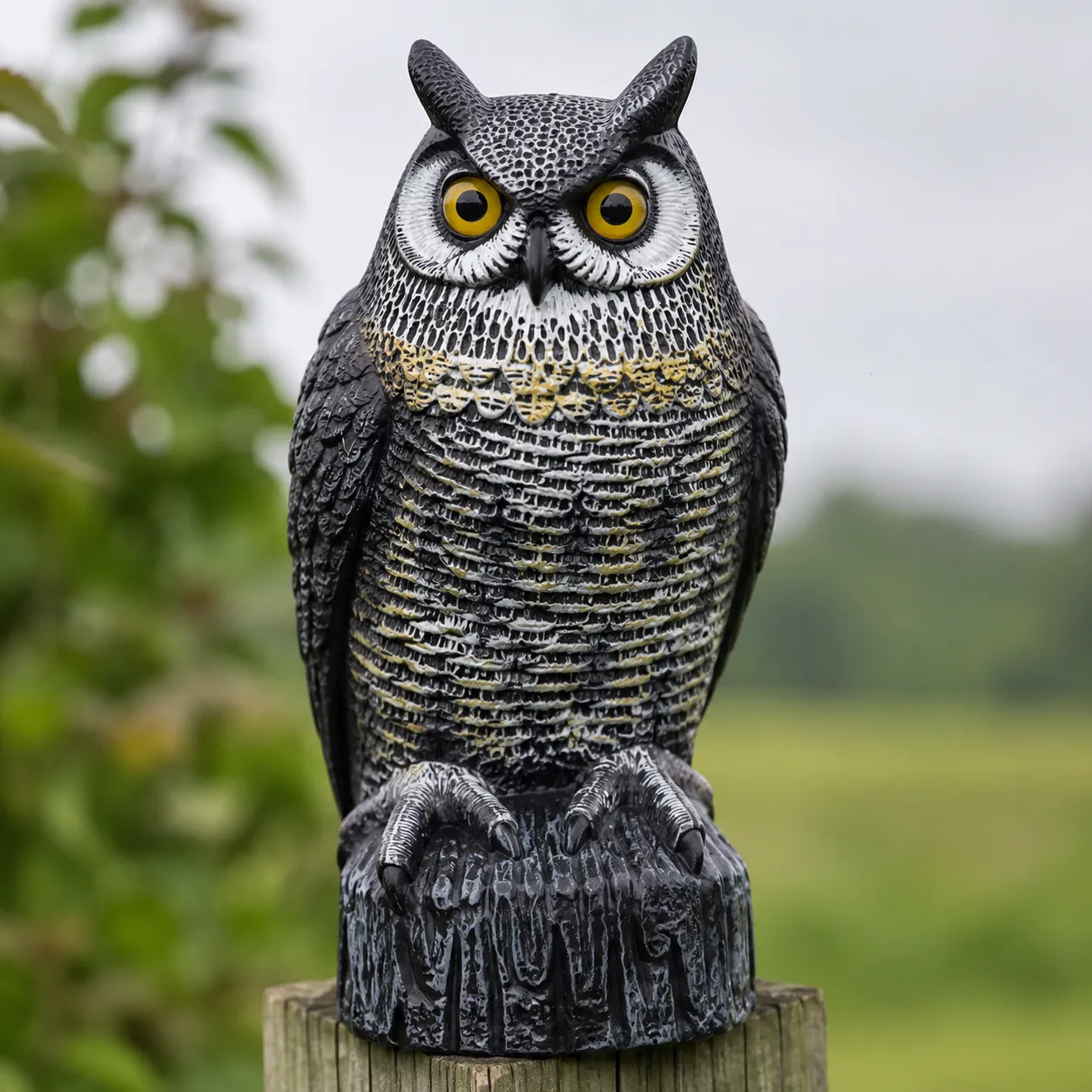 owl decoy