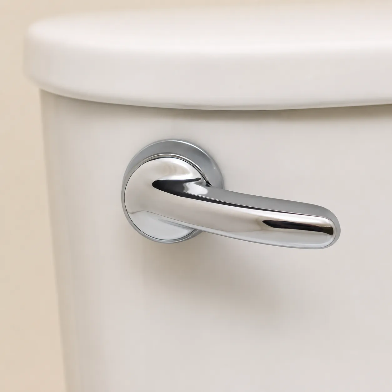 flush handle