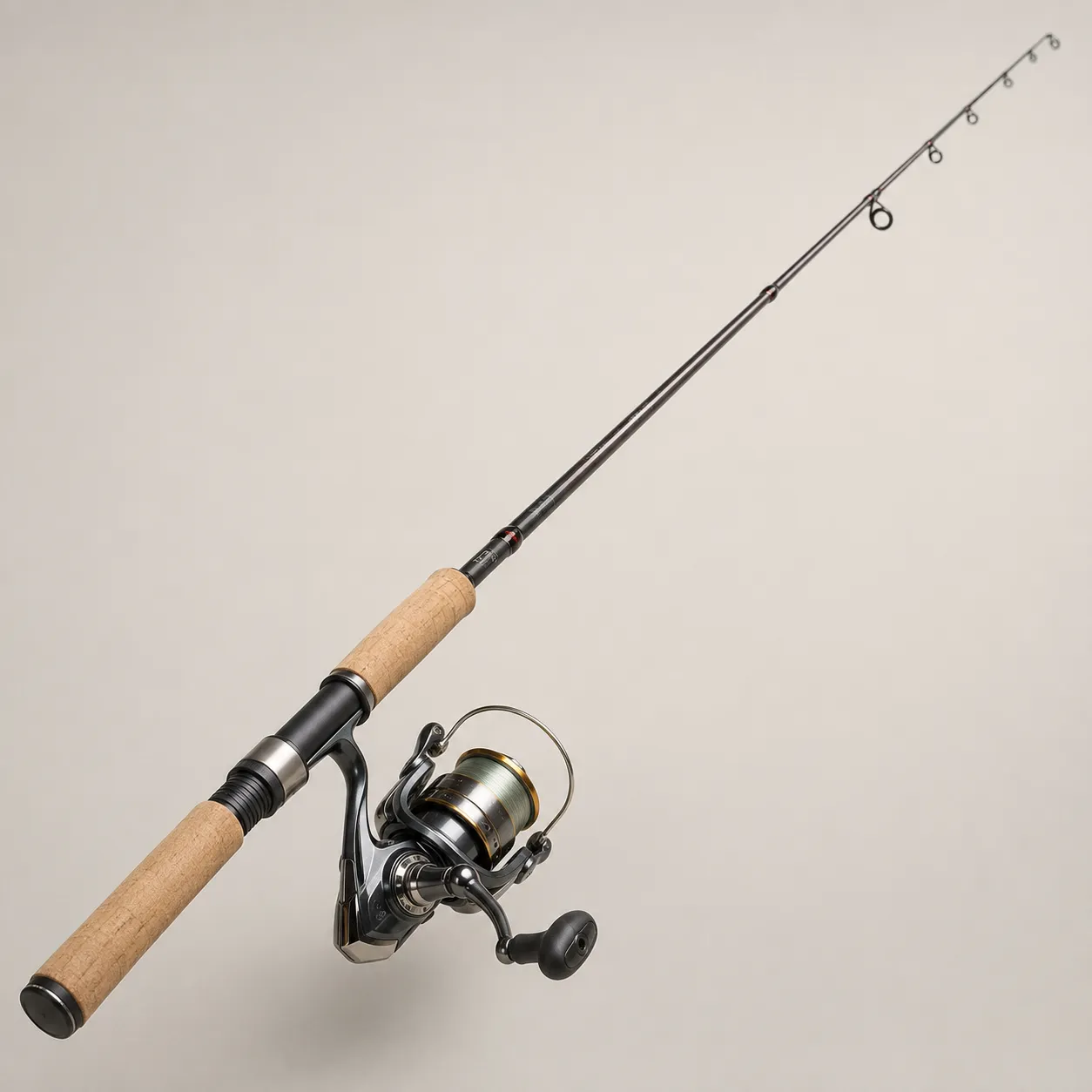 fishing rod