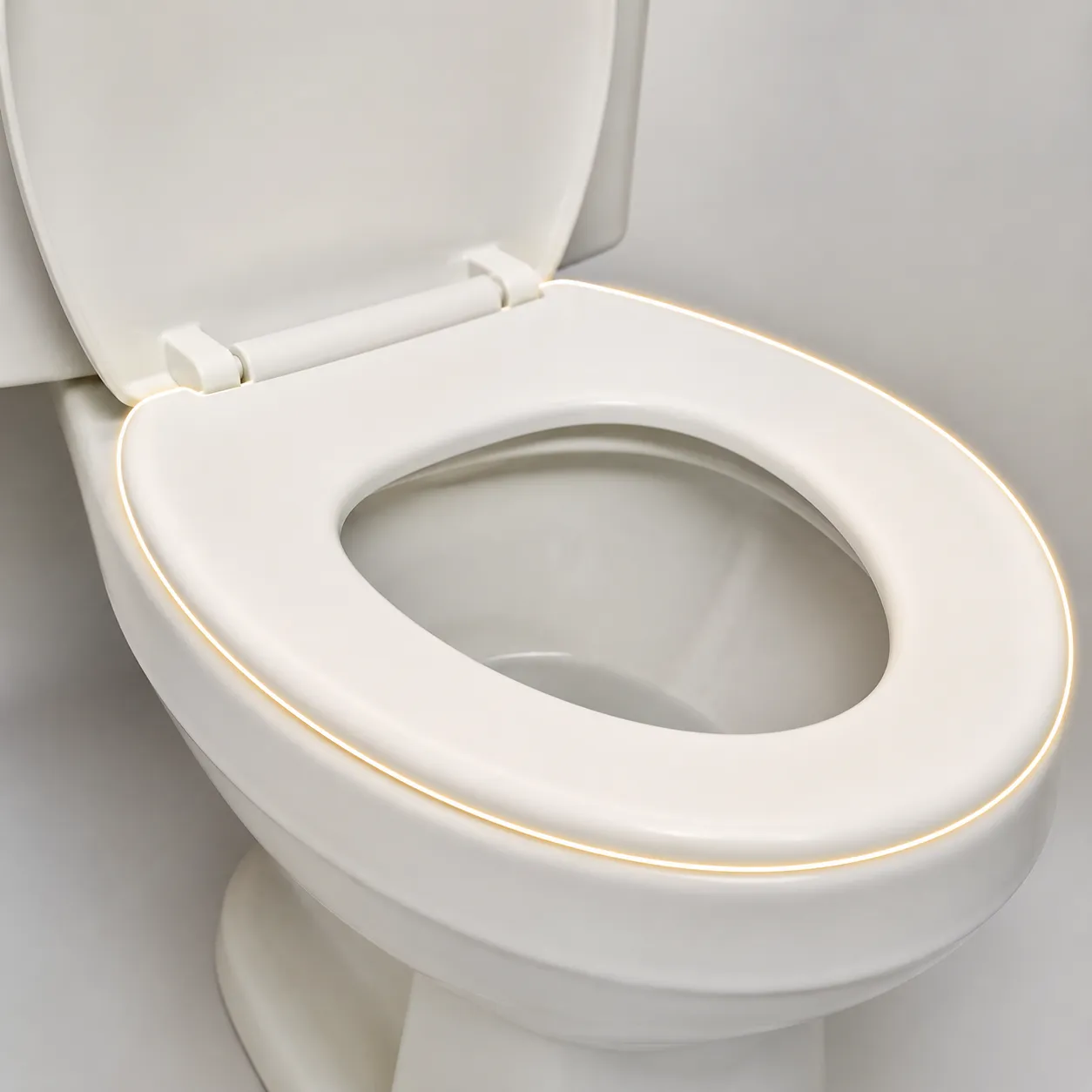 toilet seat