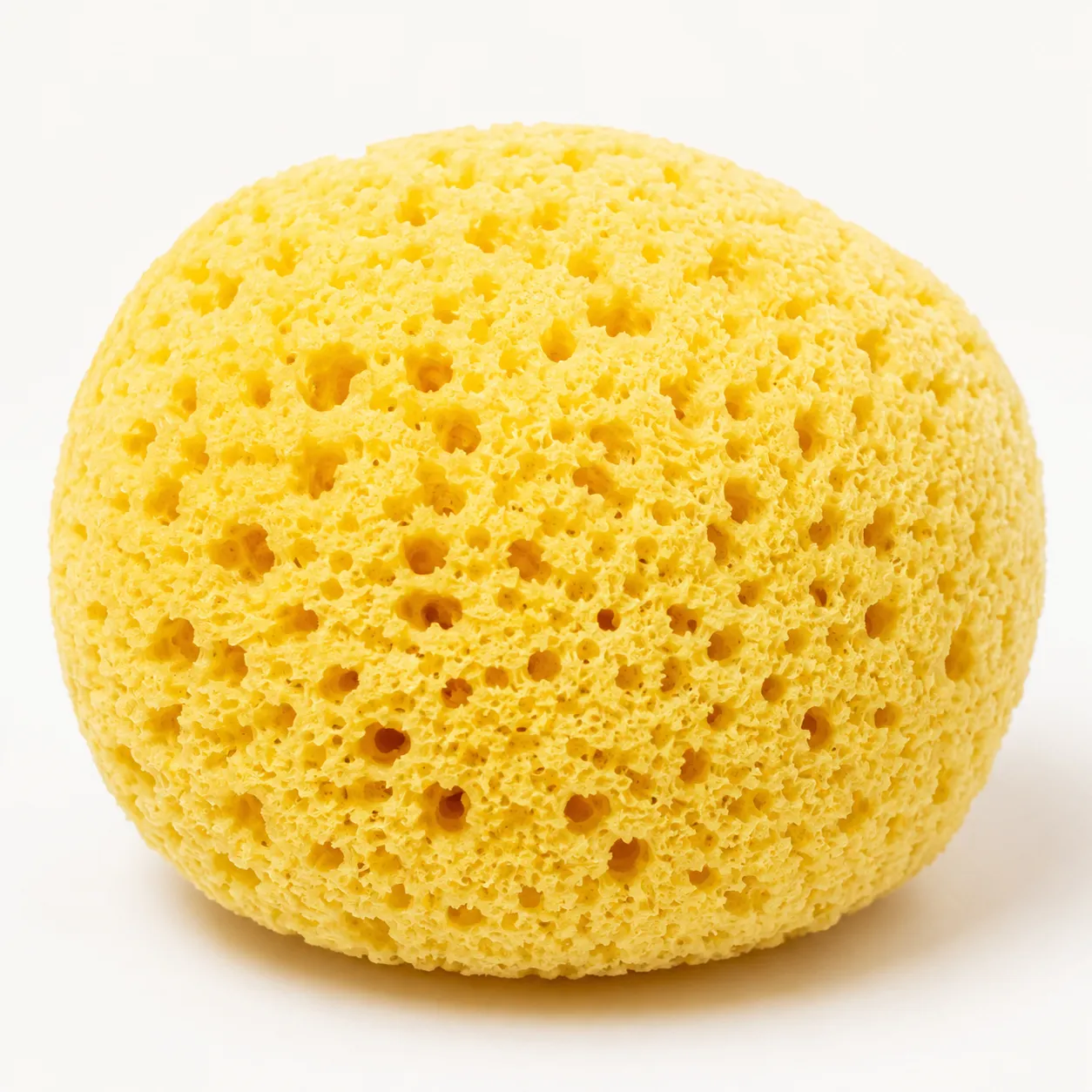 bath sponge