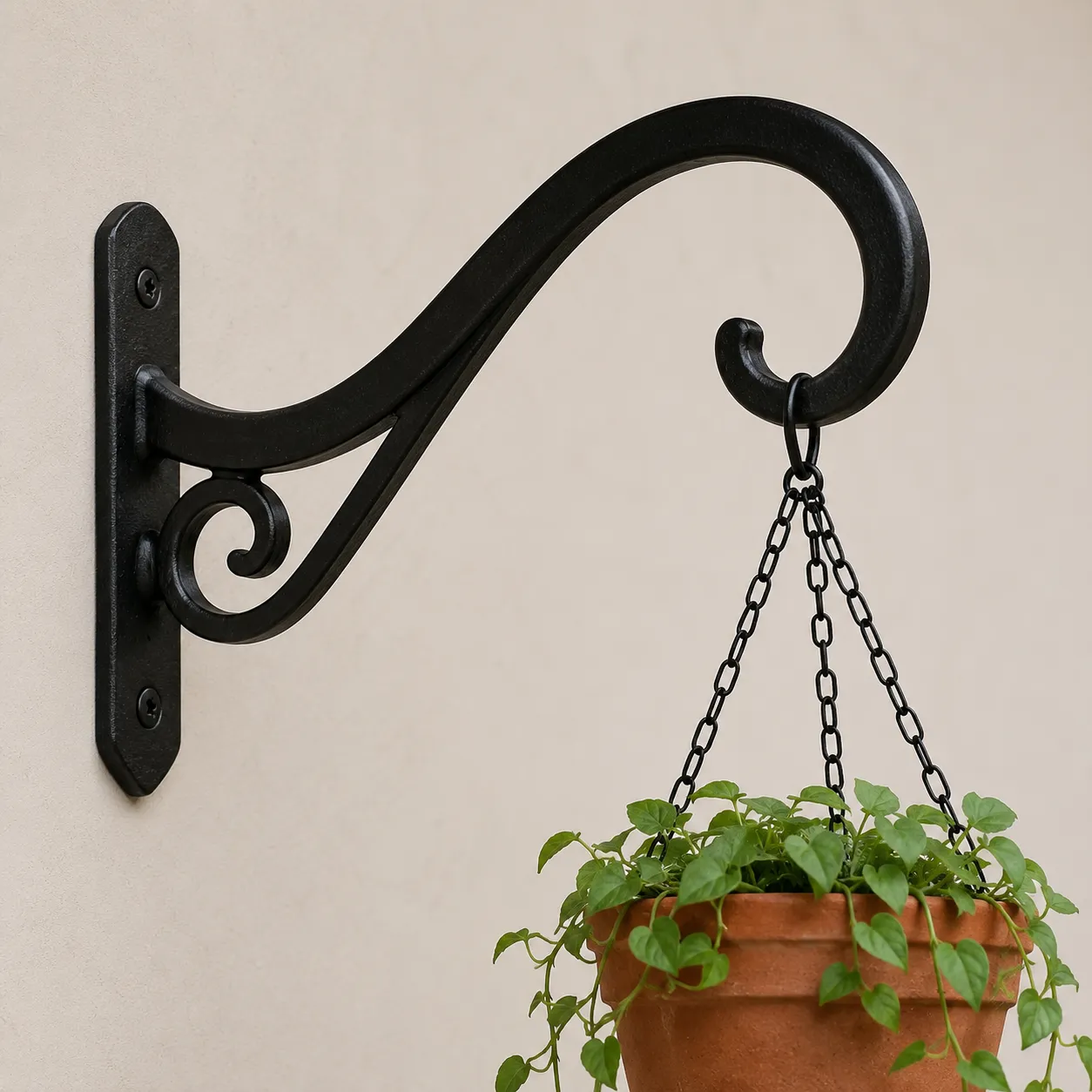 plant hook