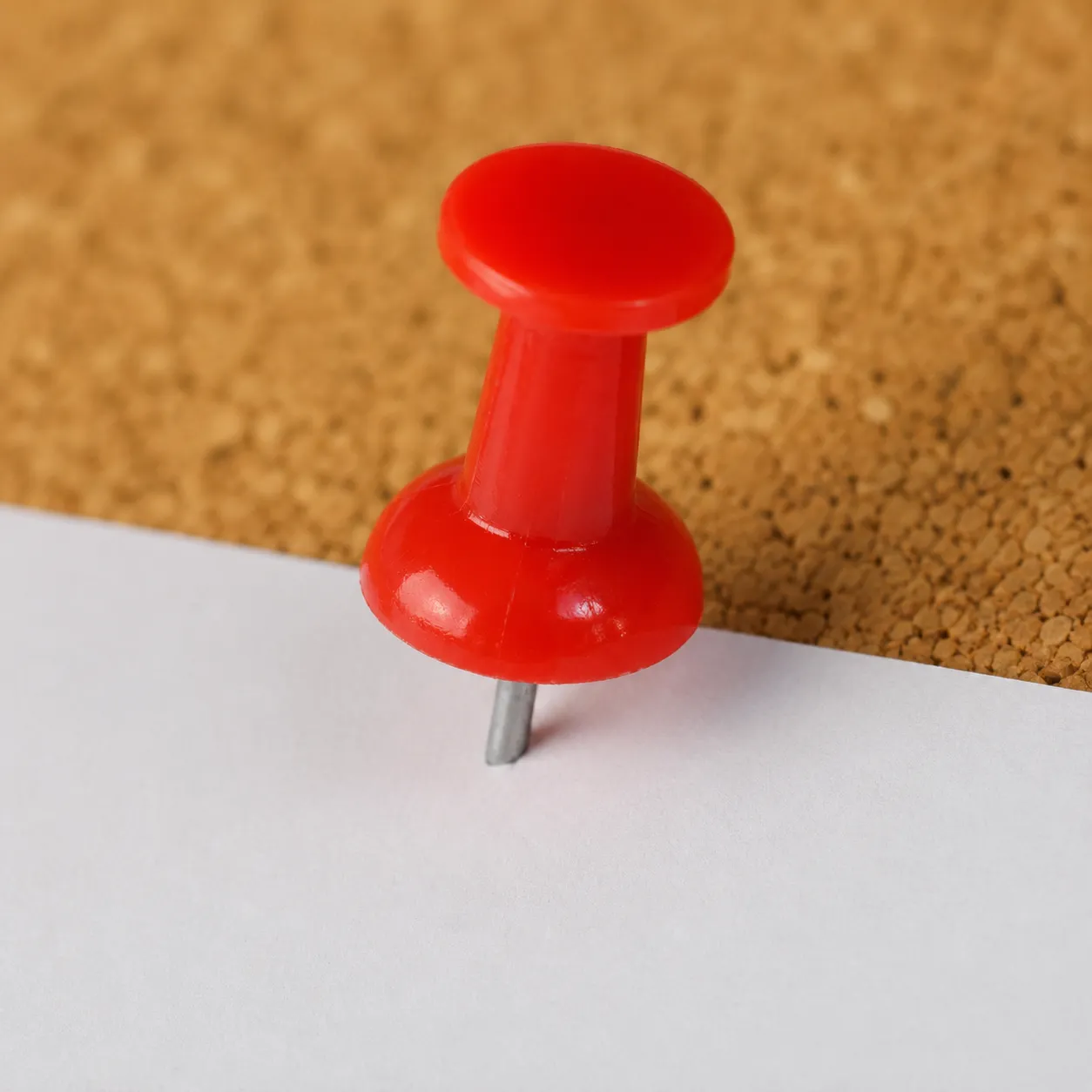 thumbtack