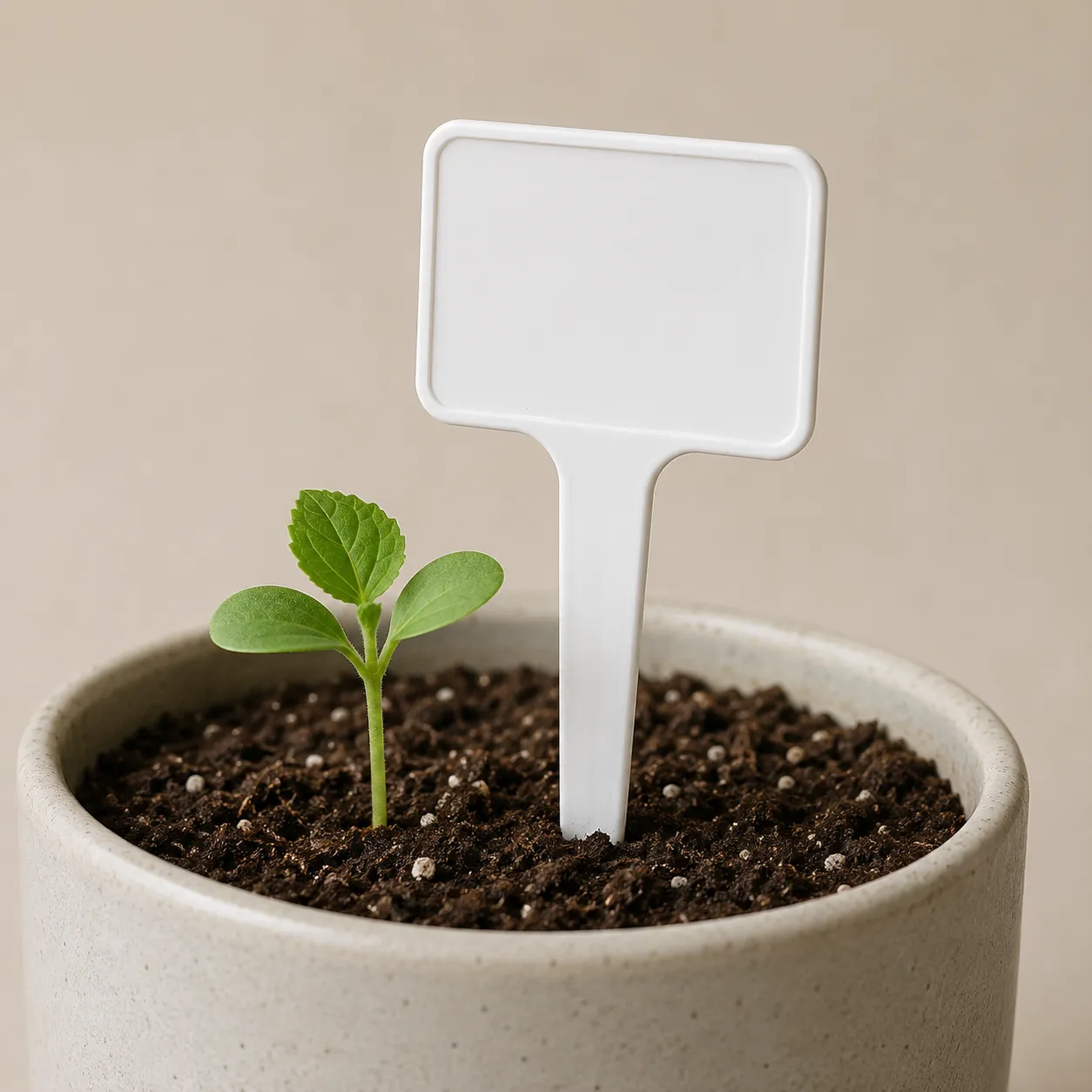 plant marker